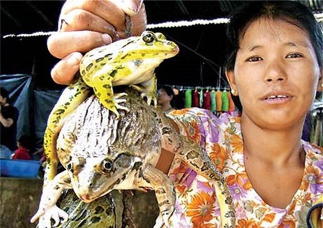 nham mat bit mui thuong thuc mui vi 10 mon an ky la nhat o an do hinh anh 7