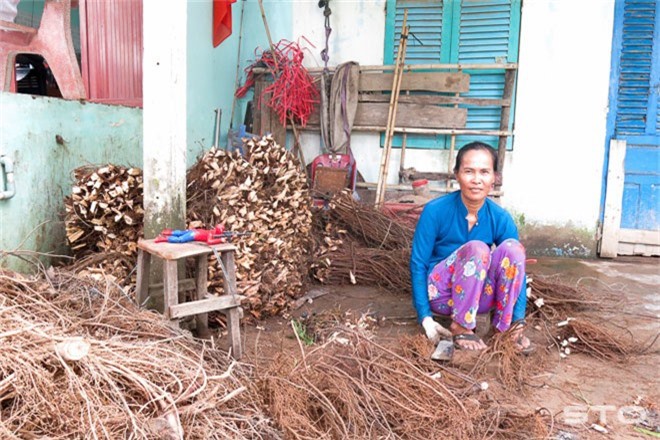 Trồng loài cây thả xuống ao cá "say bí tỉ" còn tôm tỉnh như sáo