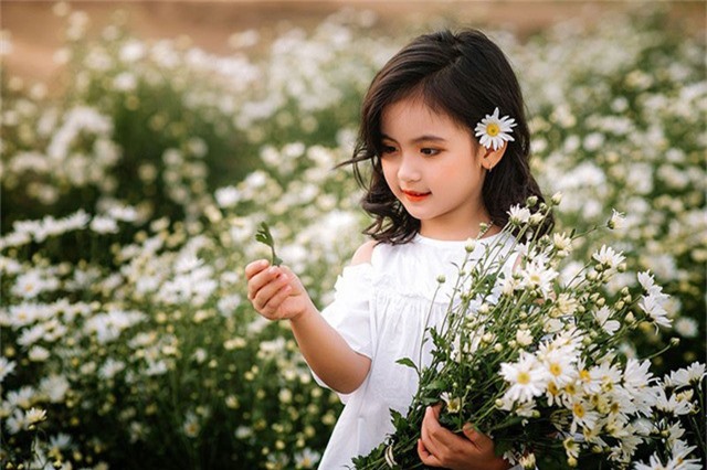 Cặp chị em nhí đến từ Hải Dương được dân mạng thương mến đặt biệt danh là “công chúa mùa cúc họa mi”. Bộ ảnh hiện vẫn đang được chia sẻ rộng rãi trên khắp các diễn đàn.