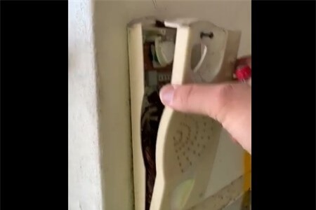 Clip: Sự thật ghê rợn bên trong điện thoại treo tường cũ