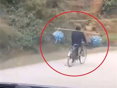 CLIP: Người đi xe đạp gánh hàng hóa khi đang chạy