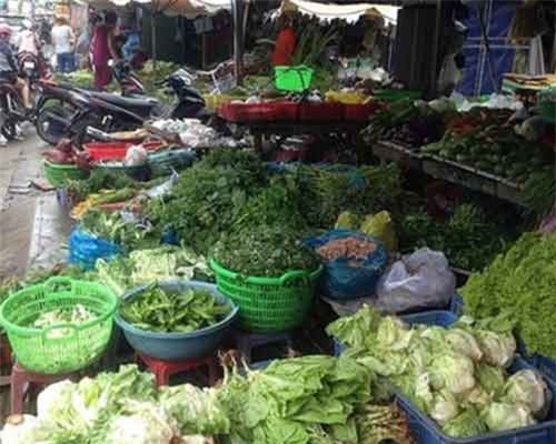 Trái cây Trung Quốc chiếm 15% chợ đầu mối Thủ Đức