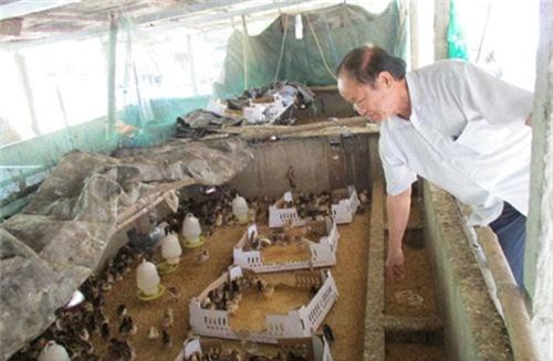 nguong mo: 30 nam miet mai gay dung trang trai “vang”, thu ve 12 ty hinh anh 2