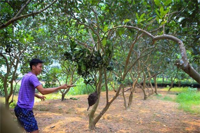 SÄn trá»©ng kiáº¿n lÃ m mÃ³n Än Äáº·c sáº£n á» ngoáº¡i thÃ nh HÃ  Ná»i - 3