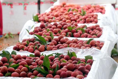 Cẩn trọng khi giao dịch xuất khẩu sang Trung Quốc