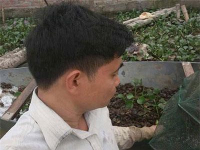 Hà Hội: Sau rắn mòng, chàng "Quách Tĩnh" lại kiếm bộn tiền từ nuôi cua đồng