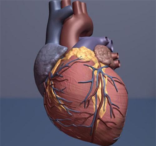 Phương pháp ghép tế bào gốc mới sẽ là cơ hội cho việc điều trị tim bị tổn thương.