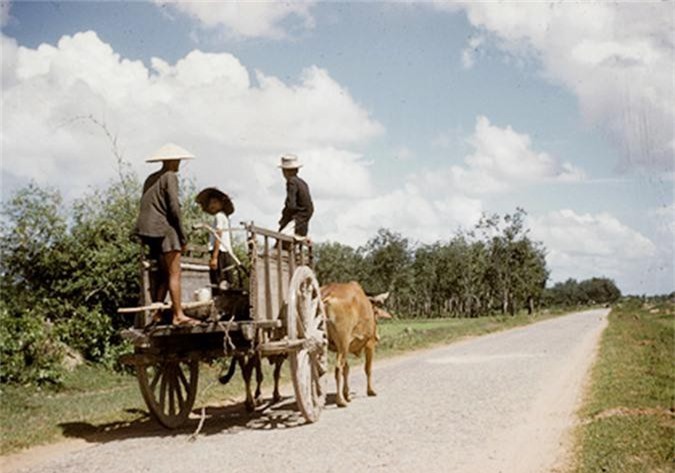 Tay Ninh nam 1958 cuc sinh dong qua ong kinh nguoi My