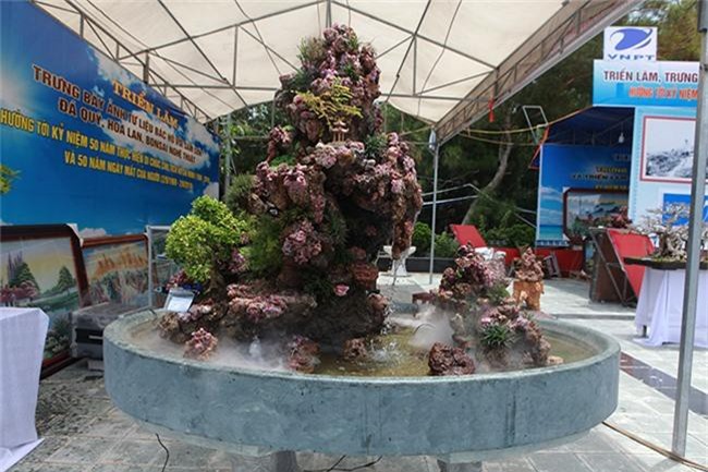 tich gop da quy nhieu nam roi lam hon non bo khong lo, rao ban 2 ty dong hinh anh 3