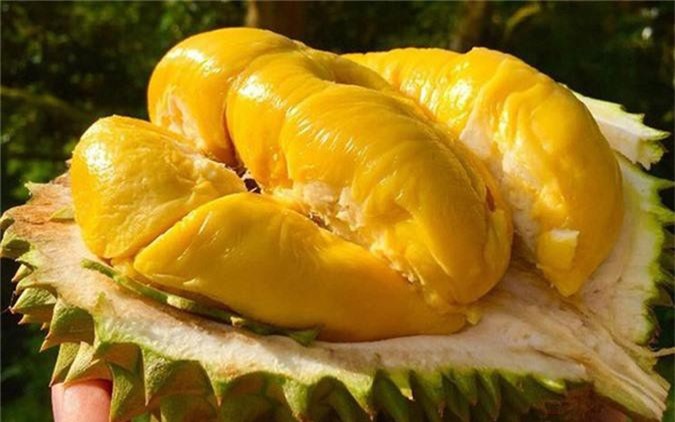 quả sầu riêng trị giá hơn 1 tỷ đồng có gì đặc biệt? hình 5 qua sau rieng tri gia hon 1 ty dong co gi dac biet? hinh 5