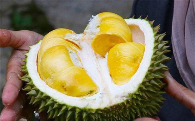 quả sầu riêng trị giá hơn 1 tỷ đồng có gì đặc biệt? hình 6 qua sau rieng tri gia hon 1 ty dong co gi dac biet? hinh 6