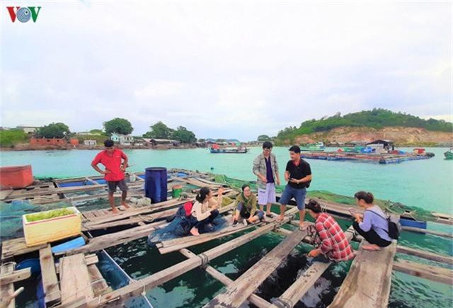 Khám phá nghề nuôi cá lồng bè thu tiền tỷ ở Nam Du - Ảnh 15. Khám phá nghề nuôi cá lồng bè thu tiền tỷ ở Nam Du - Ảnh 15.