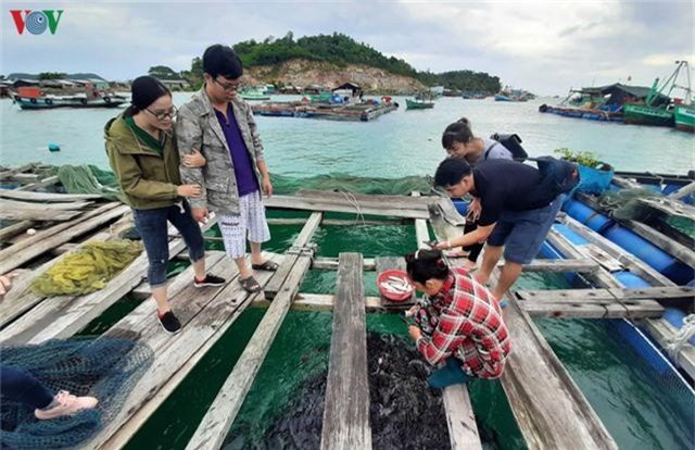 Khám phá nghề nuôi cá lồng bè thu tiền tỷ ở Nam Du - Ảnh 3. Khám phá nghề nuôi cá lồng bè thu tiền tỷ ở Nam Du - Ảnh 3.
