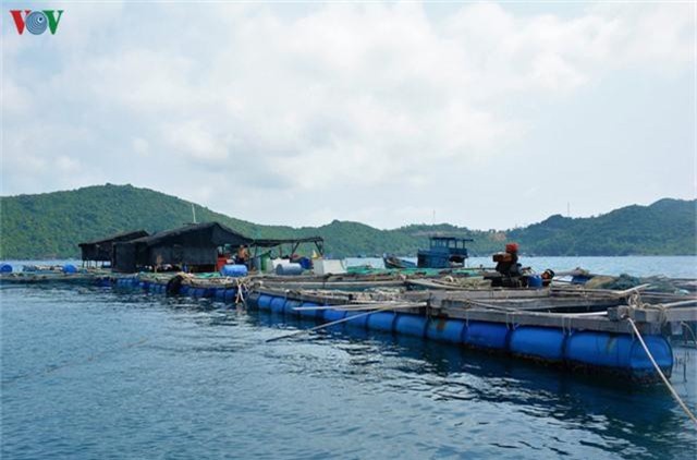 Khám phá nghề nuôi cá lồng bè thu tiền tỷ ở Nam Du - Ảnh 4. Khám phá nghề nuôi cá lồng bè thu tiền tỷ ở Nam Du - Ảnh 4.