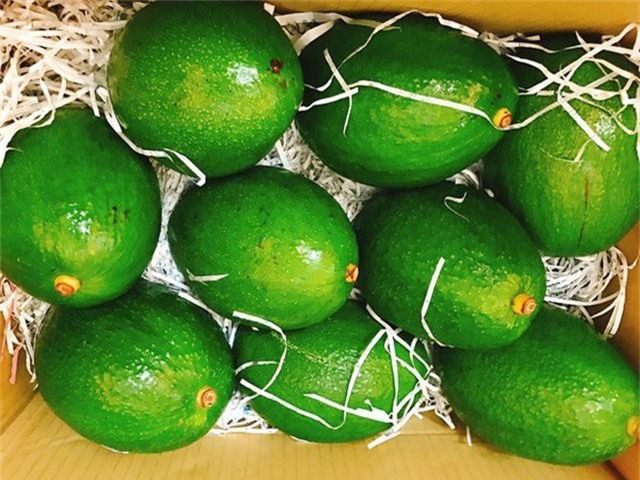 Chi nửa triệu mua quả bơ sáp khổng lồ nặng 1kg - Ảnh 2. Chi nửa triệu mua quả bơ sáp khổng lồ nặng 1kg - Ảnh 2.