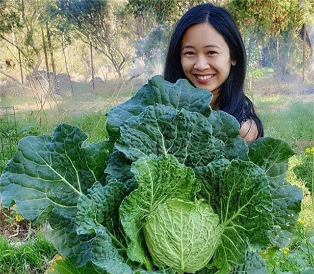 Choáng vá»i vưá»n rau siêu to, siêu khá»ng lá» cá»§a cô nà ng 8X - Ảnh 2.