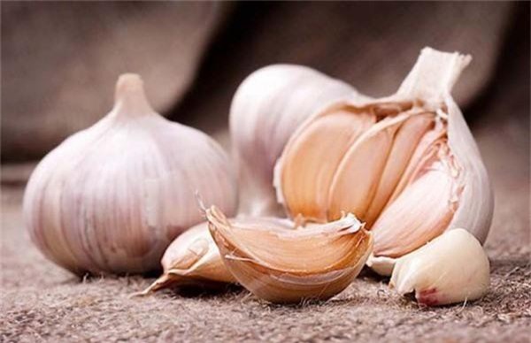 Bất ngờ những “siêu” thực phẩm có khả năng giải độc chì hiệu quả - Hình 10 Bat ngo nhung “sieu” thuc pham co kha nang giai doc chi hieu qua-Hinh-10