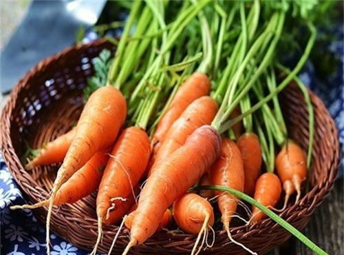 Bất ngờ những “siêu” thực phẩm có khả năng giải độc chì hiệu quả - Hình 9 Bat ngo nhung “sieu” thuc pham co kha nang giai doc chi hieu qua-Hinh-9