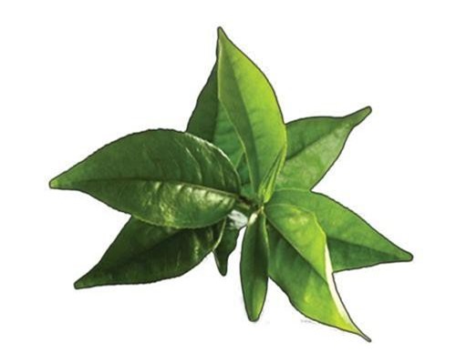 Mẹo hầm các loại thịt nhanh mềm, tiết kiệm thời gian - Hình 5 Meo ham cac loai thit nhanh mem, tiet kiem thoi gian-Hinh-5