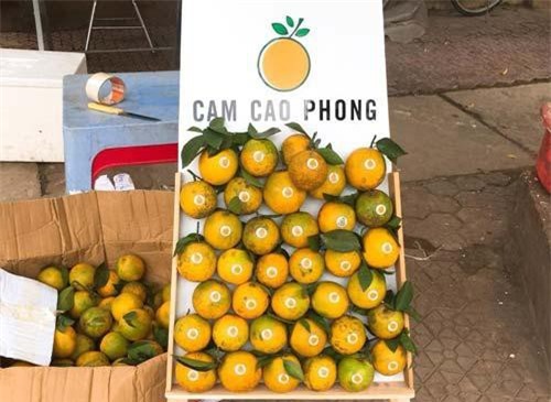 Cam Cao Phong đầu mùa giá 30.000 đồng một kg Cam Cao Phong đầu mùa giá 30.000 đồng một kg