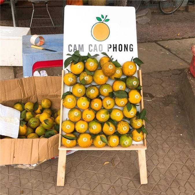 Cam Cao Phong đầu mùa giá 30.000 đồng một kg