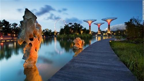 Siêu cây khổng lồ tạo 'thành phố trong vườn' ở Singapore - 3