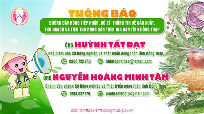 Lần đầu nông dân bán hàng trăm tấn nông sản trên sàn thương mại điện tử - 5