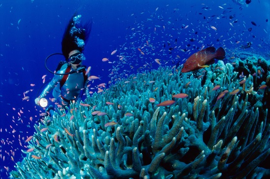 Scuba-diving is an well-known activity for tourists when visiting Nha Trang.