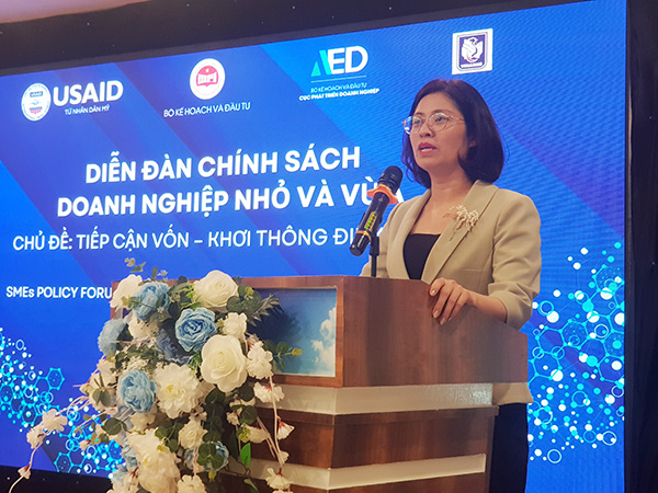 Bà Trịnh Thị Hương – Phó Cục trưởng Cục Phát triển DN (Bộ KH&&ĐT) phát biểu tại diễn đàn.