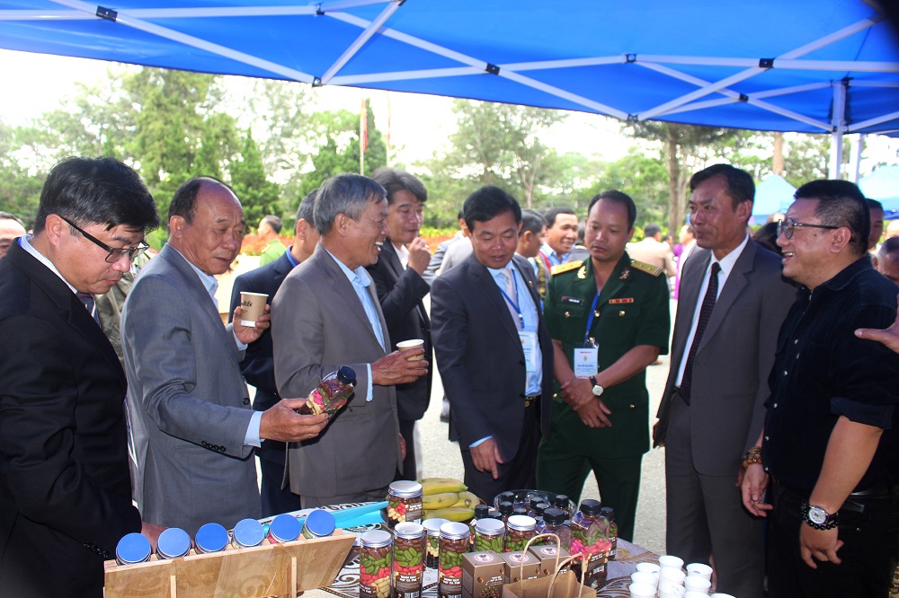 Bánh quy hình dáng hạt cà phê mô tả vòng đời hạt cà phê thu hút các đại biểu tìm hiểu, thưởng thức.