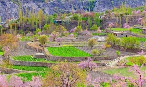 bộ tộc Hunza, phụ nữ Hunza sinh con dù ngoài 60 tuổi, người Hunza sống thọ đến 160 tuổi , người Burusho