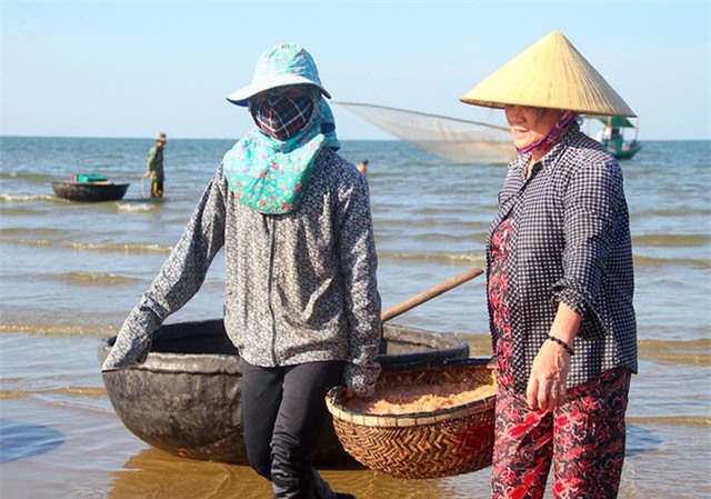 Ngư dân Hà Tĩnh trúng mùa ruốc, thu tiền triệu mỗi ngày