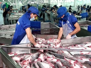 Kinh tế khu vực Đồng bằng sông Cửu Long có nhiều khởi sắc