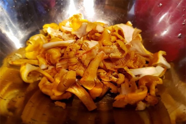 Khám phá loại nấm mỡ gà được ưa chuộng ở Việt Nam