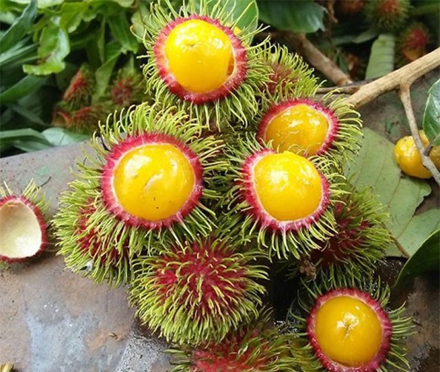 Chôm chôm ruột vàng lại tái xuất gây ‘sốt’ thị trường Hà Nội