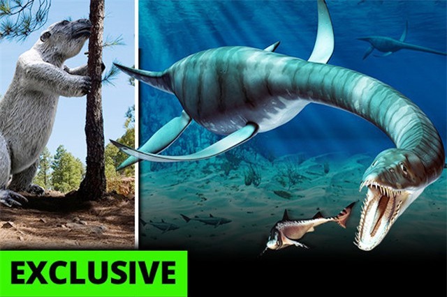 Khám phá 3 quái vật khổng lồ thời tiền sử có thể tồn tại đến ngày nay