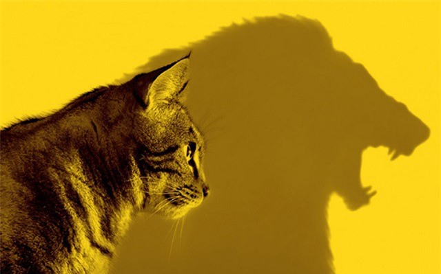 5 bí quyết để được người khác nể trọng