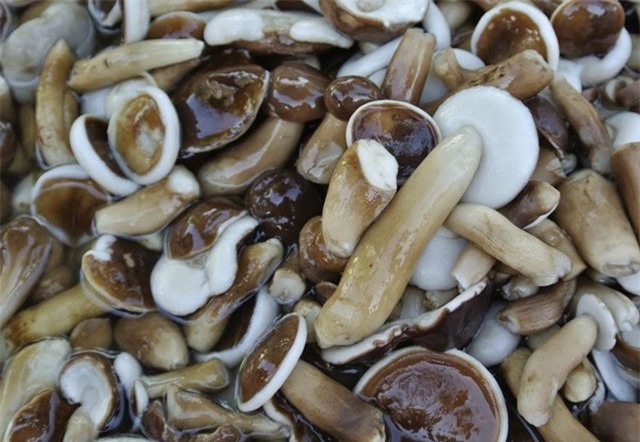 Món ăn "kinh điển" đã đến đảo ngọc Phú Quốc nhất định nên nếm đủ