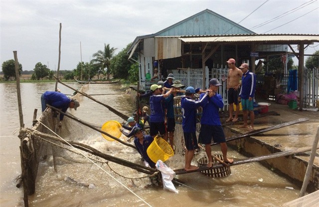 7 tháng đầu năm 2018, xuất khẩu cá tra đạt gần 1,2 tỷ USD