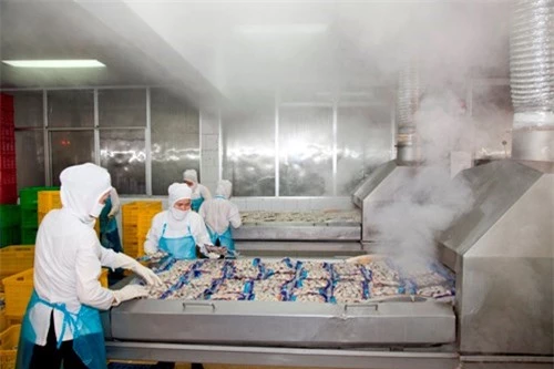 Dây chuyền đóng gói tại một nhà máy sản xuất thực phẩm. Dây chuyền đóng gói tại một nhà máy sản xuất thực phẩm.