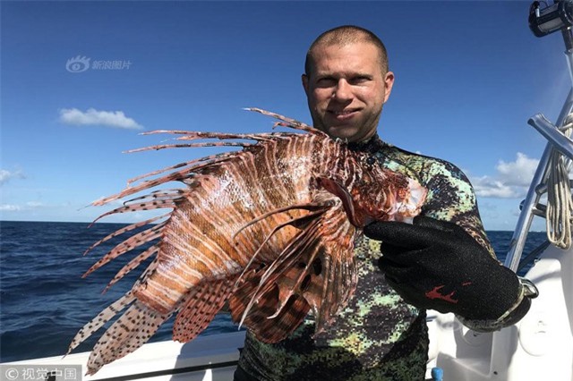 Bắt được cá sư tử khổng lồ, to nhất Đại Tây Dương