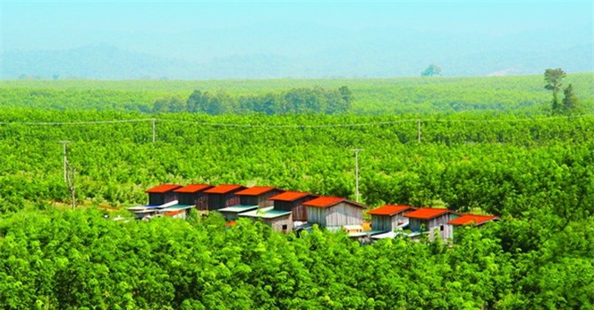 Hé lộ danh tính các cá nhân rời khỏi HĐQT và BKS của HNG sau hợp tác Thaco