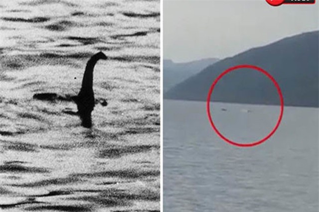 Phát hiện sinh vật bí ẩn, giống quái vật hồ Loch Ness 