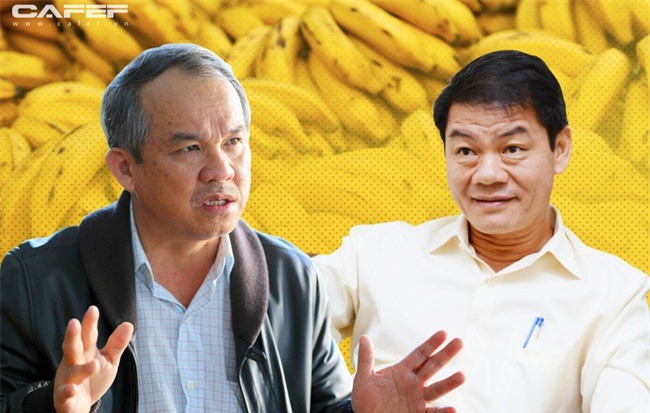 Đầu tư 1 tỷ USD vào HAGL, Thaco muốn gì?