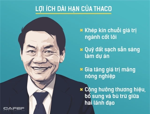 Đầu tư 1 tỷ USD vào HAGL, Thaco muốn gì? - Ảnh 3.