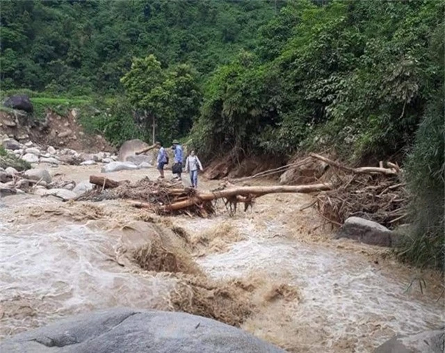 Mạo hiểm đi trên chiếc cầu tạm bằng thân cây để vượt qua suối dữ