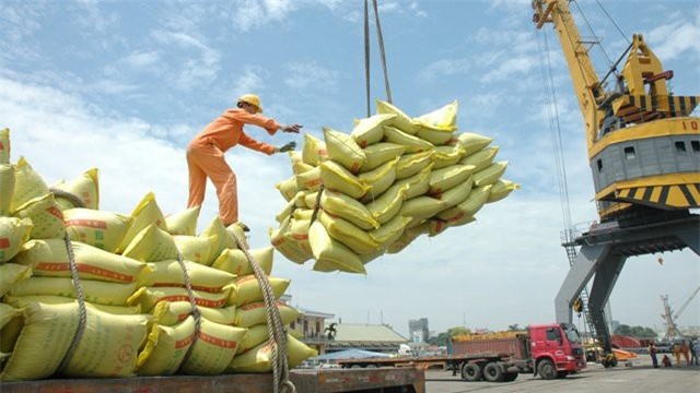 “Cởi trói” xuất khẩu gạo