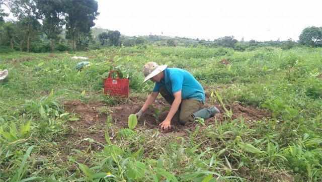 Tòa án chuyển hồ sơ vụ giáo viên kiện nhà trường sang Công an để điều tra