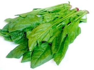 6 loại thực phẩm giúp đẩy lùi lão hóa, làm mờ nếp nhăn