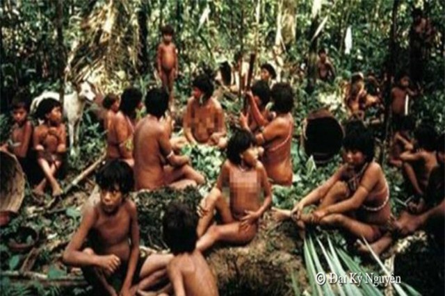 Kinh hãi trước hủ tục ăn tro người chết của bộ lạc ở Amazon